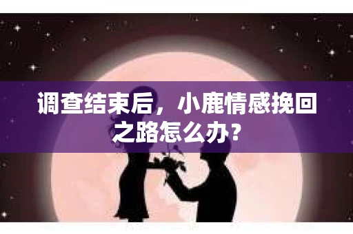调查结束后，小鹿情感挽回之路怎么办？
