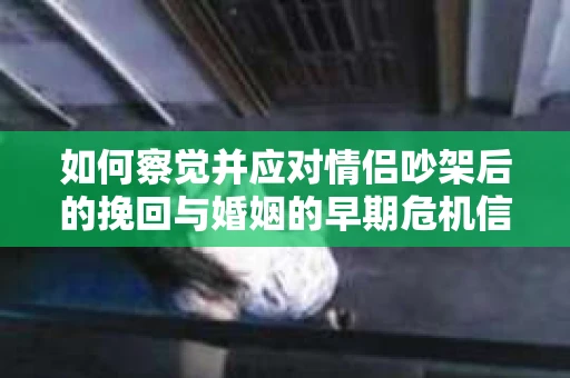 如何察觉并应对情侣吵架后的挽回与婚姻的早期危机信号？