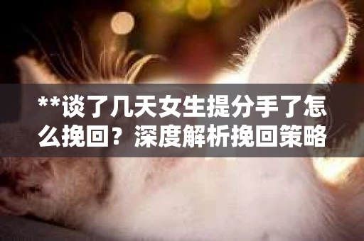 **谈了几天女生提分手了怎么挽回？深度解析挽回策略**