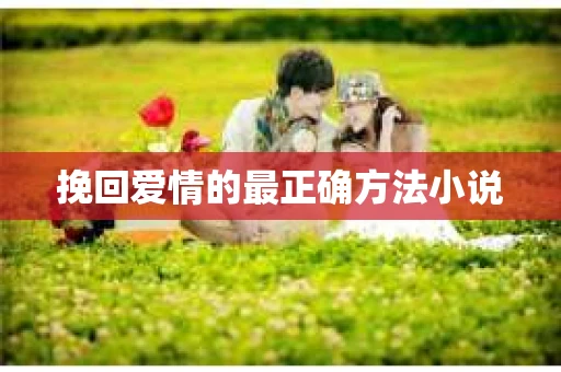 挽回爱情的最正确方法小说
