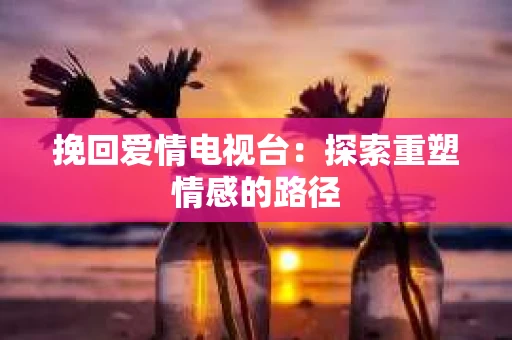 挽回爱情电视台：探索重塑情感的路径