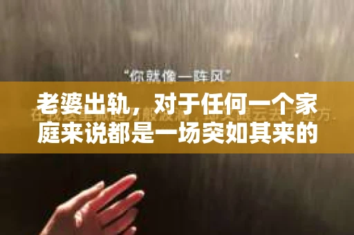老婆出轨，对于任何一个家庭来说都是一场突如其来的风暴。面对这样的困境，如何挽回婚姻，重拾家庭的和谐，成为了许多人迫切想要了解的问题。今天，我们就来聊聊这个敏感而现实的话题——老婆出轨最好的挽回办法。