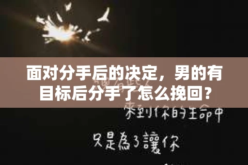 面对分手后的决定，男的有目标后分手了怎么挽回？