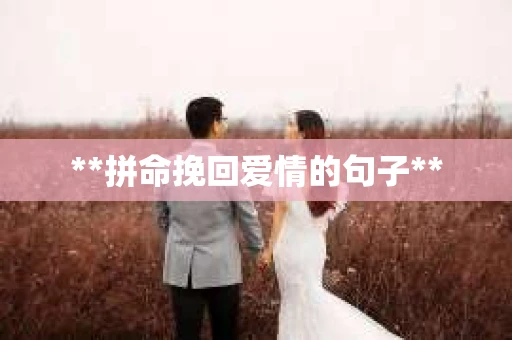 **拼命挽回爱情的句子**