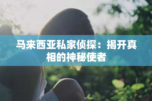 马来西亚私家侦探：揭开真相的神秘使者