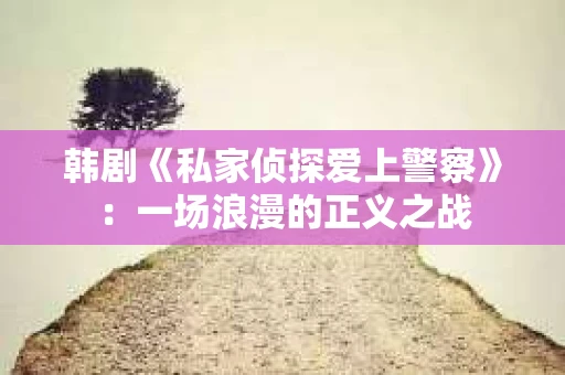 韩剧《私家侦探爱上警察》：一场浪漫的正义之战