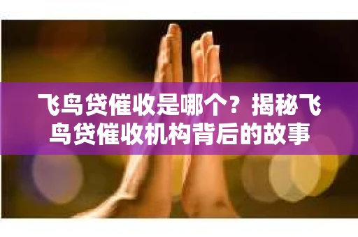 飞鸟贷催收是哪个？揭秘飞鸟贷催收机构背后的故事