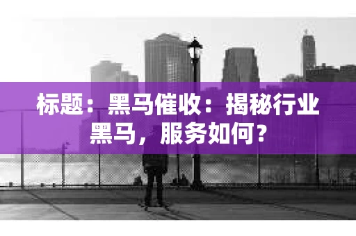 标题：黑马催收：揭秘行业黑马，服务如何？