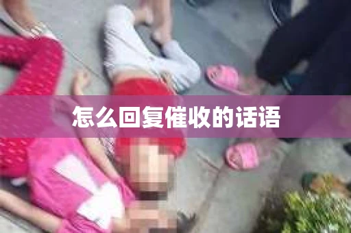 怎么回复催收的话语