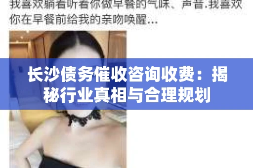 长沙债务催收咨询收费：揭秘行业真相与合理规划