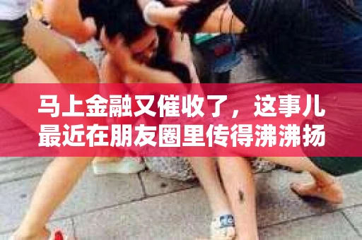 马上金融又催收了，这事儿最近在朋友圈里传得沸沸扬扬。说实话，我也有点好奇，这马上金融到底是怎么回事？催收又是怎么一回事？今天，我就来跟大家聊聊这个话题。