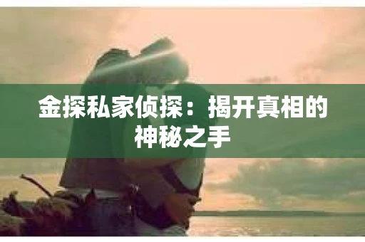 金探私家侦探：揭开真相的神秘之手