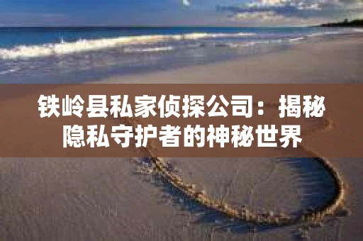 铁岭县私家侦探公司：揭秘隐私守护者的神秘世界