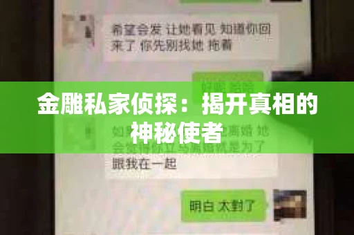 金雕私家侦探：揭开真相的神秘使者