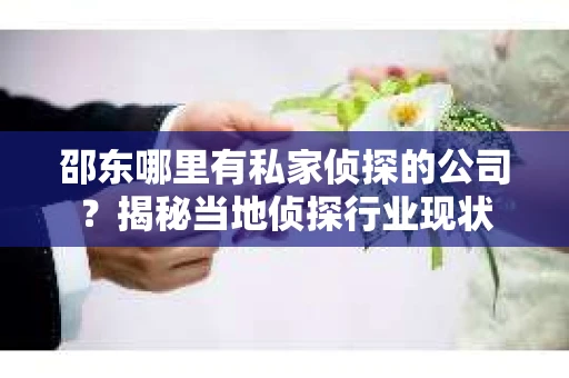 邵东哪里有私家侦探的公司？揭秘当地侦探行业现状