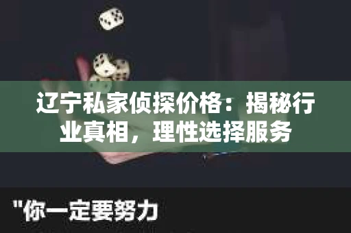 辽宁私家侦探价格：揭秘行业真相，理性选择服务