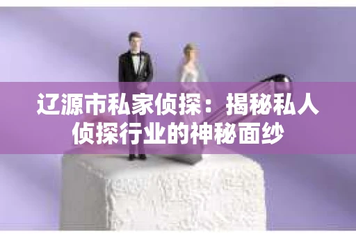 辽源市私家侦探：揭秘私人侦探行业的神秘面纱