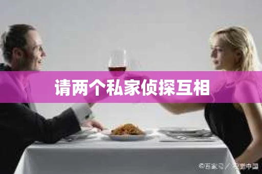 请两个私家侦探互相