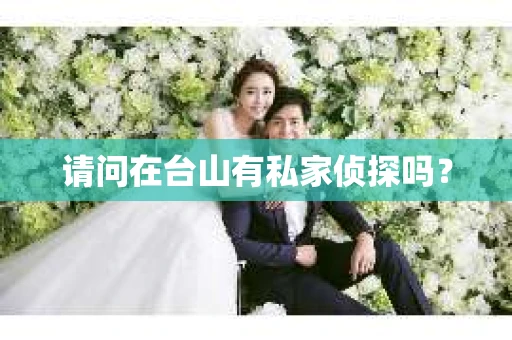 请问在台山有私家侦探吗？