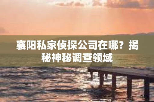 襄阳私家侦探公司在哪？揭秘神秘调查领域