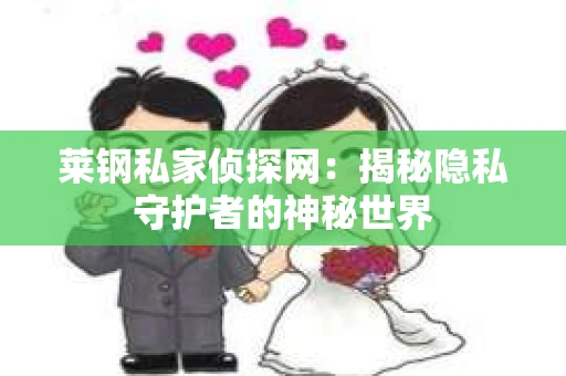 莱钢私家侦探网：揭秘隐私守护者的神秘世界
