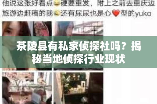 茶陵县有私家侦探社吗？揭秘当地侦探行业现状