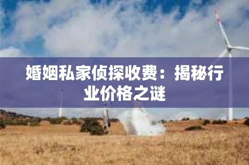 婚姻私家侦探收费：揭秘行业价格之谜