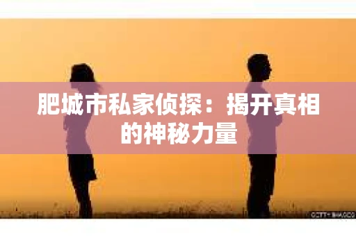 肥城市私家侦探：揭开真相的神秘力量