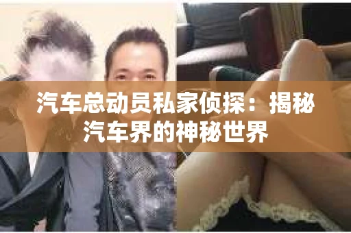 汽车总动员私家侦探：揭秘汽车界的神秘世界