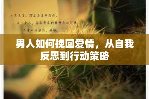 男人如何挽回爱情，从自我反思到行动策略