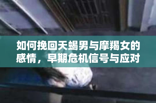 如何挽回天蝎男与摩羯女的感情，早期危机信号与应对策略
