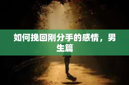 如何挽回刚分手的感情，男生篇